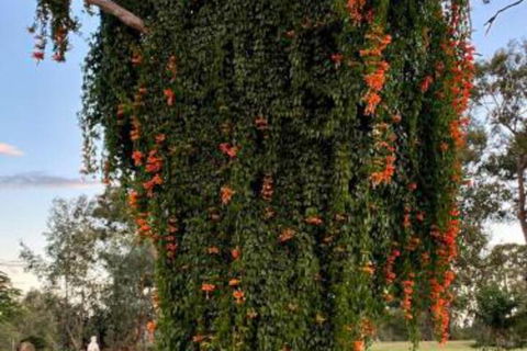 Amarina Farm Stay & Gardens - Kalgoorlie Accommodation 6