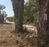 COONARR BEACH  BUNDABERG CAMPING - Kalgoorlie Accommodation