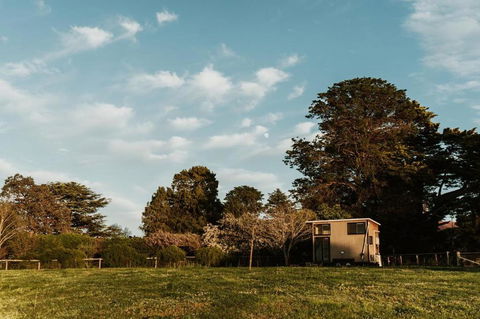 Bedervale Tiny - Kalgoorlie Accommodation 6