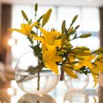KUI Manhattan Apartments - Kalgoorlie Accommodation 0