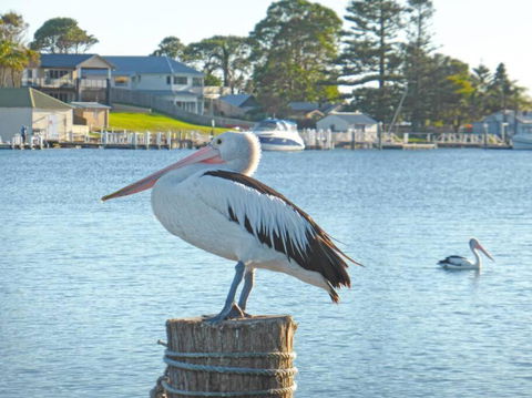 HAIS18G Riverside Delight - Kalgoorlie Accommodation 4
