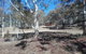 Gooandra Alpine Cabins - thumb 6