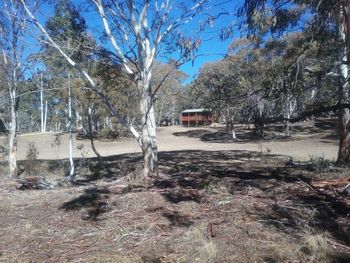 Gooandra Alpine Cabins - Kalgoorlie Accommodation 6