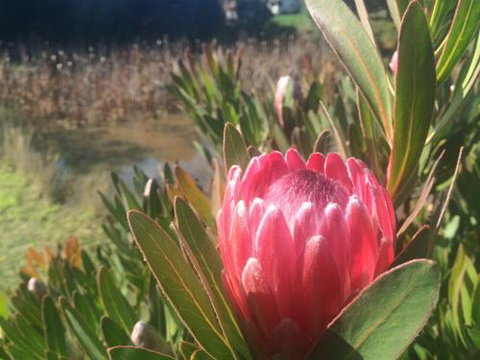 Creswick Cabin Retreat - Kalgoorlie Accommodation 0