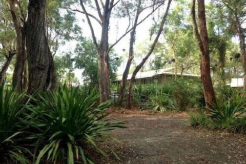 Port Stephens Koala Sanctuary - Kalgoorlie Accommodation 2