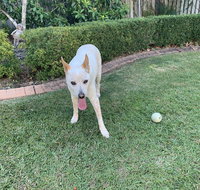 Manly's Hidden Gem - Kalgoorlie Accommodation