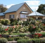 Willows Motel - Kalgoorlie Accommodation