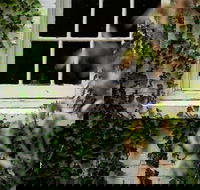 Fitzpatrick's Inn - Kalgoorlie Accommodation