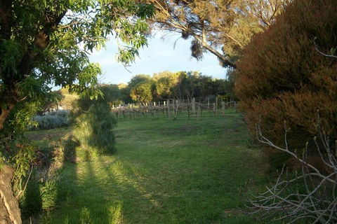 Southern Vales Bed & Breakfast - Kalgoorlie Accommodation 2