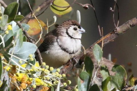 Tracks End Retreat - Kalgoorlie Accommodation 6