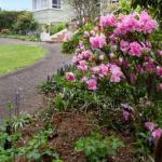 North Scottsdale TAS Kalgoorlie Accommodation