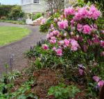 Anabels of Scottsdale - Kalgoorlie Accommodation