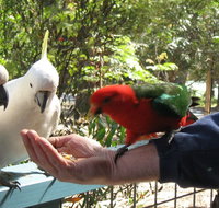 Lorne Bush House Cottages  Eco Retreats - Kalgoorlie Accommodation