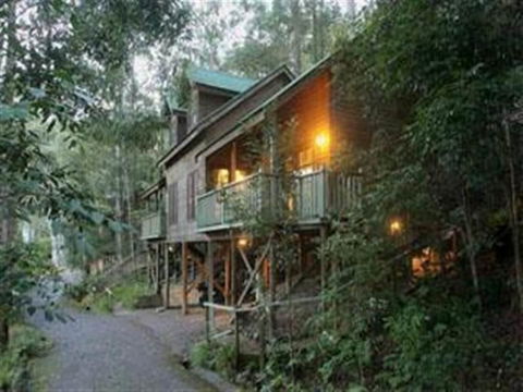 Barrington Wilderness Cedar Lodge Accommodation - Kalgoorlie Accommodation 2