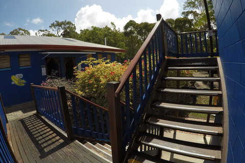 Cool Bananas Backpackers - Kalgoorlie Accommodation 5