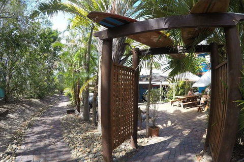 Cool Bananas Backpackers - Kalgoorlie Accommodation 6