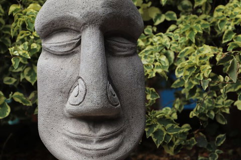 Cool Bananas Backpackers - Kalgoorlie Accommodation 1