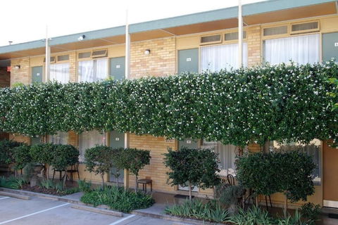 Mid City Motor Inn - Kalgoorlie Accommodation 2