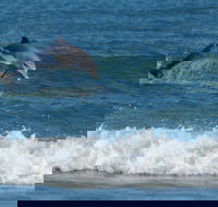 Summerhills Retreat Byron Bay - Kalgoorlie Accommodation