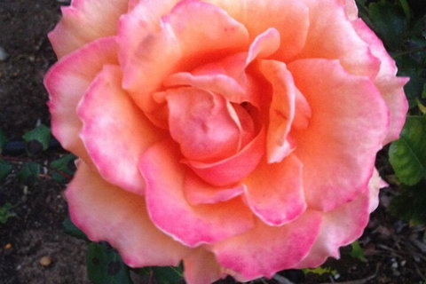 Augusta Escape Holiday Units - Kalgoorlie Accommodation 1