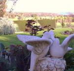 Springbank Bed  Breakfast - Kalgoorlie Accommodation