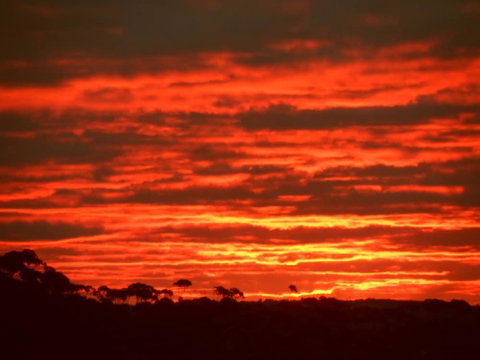 Tennessee Hill Chalets - Kalgoorlie Accommodation 0