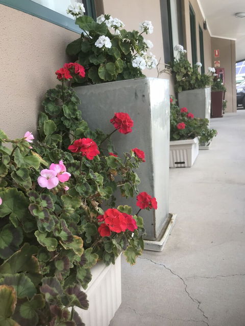 The Bakehouse Motel - Kalgoorlie Accommodation 4