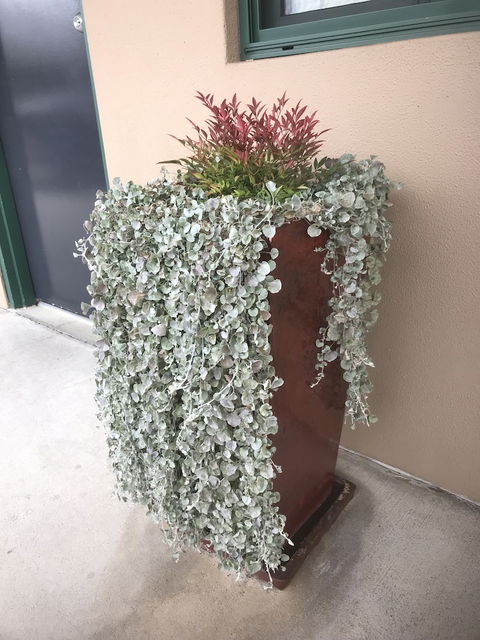 The Bakehouse Motel - Kalgoorlie Accommodation 3