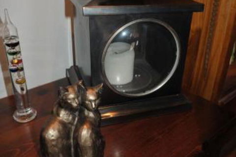 The Pommy Tree - Kalgoorlie Accommodation 2