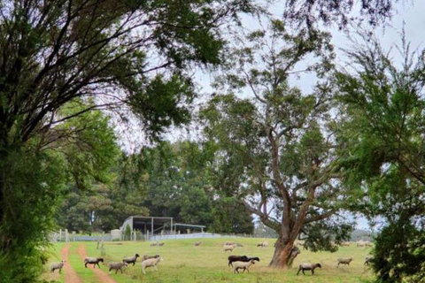 Cinnamon Coloureds Farm Cottages - Kalgoorlie Accommodation 7