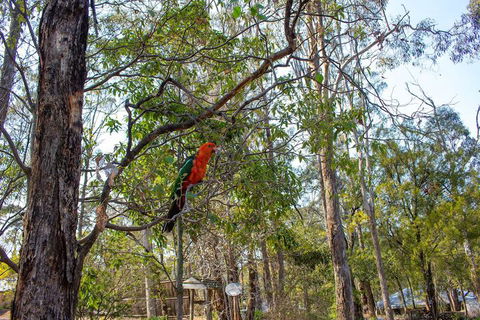 Kalimna Woods Cottages - Kalgoorlie Accommodation 2