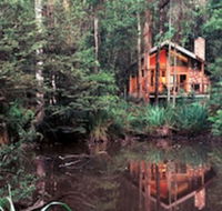 Woodlands Rainforest Retreat - Kalgoorlie Accommodation
