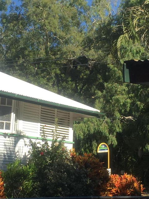 Daggoombah Holiday Home Magnetic Island - Kalgoorlie Accommodation 6