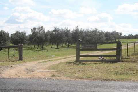 Trefolly Olive Cottage - Kalgoorlie Accommodation 2