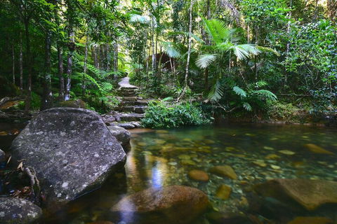 Daintree Cascades - Kalgoorlie Accommodation 2