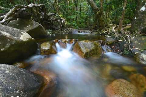 Daintree Cascades - Kalgoorlie Accommodation 1