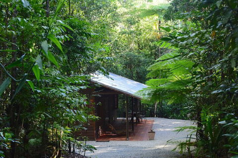 Daintree Cascades - Kalgoorlie Accommodation 3