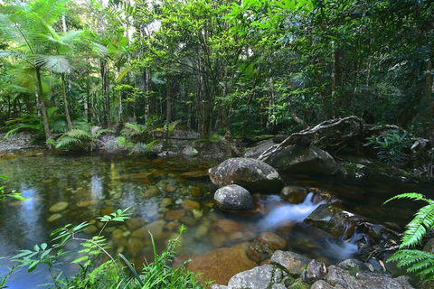 Daintree Cascades - Kalgoorlie Accommodation 5