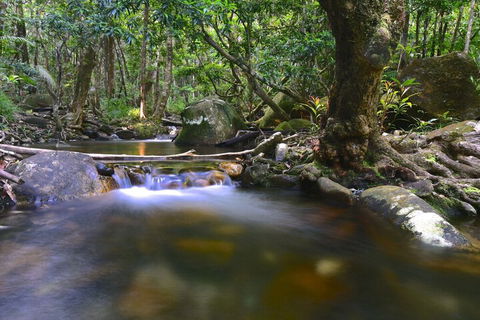 Daintree Cascades - Kalgoorlie Accommodation 6