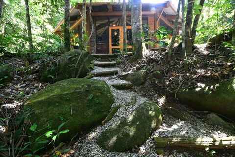 Daintree Cascades - Kalgoorlie Accommodation 7