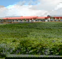 Turners Vineyard Motel and Function Centre - Kalgoorlie Accommodation