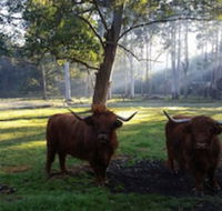 Dingley Dell - Kalgoorlie Accommodation