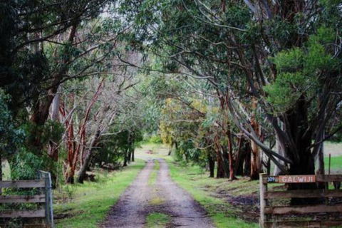 Galwiji Homestead - Kalgoorlie Accommodation 7