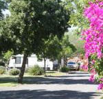 BIG 4 Hay - Kalgoorlie Accommodation