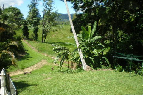 Daintree Village Hideaway - Kalgoorlie Accommodation 5