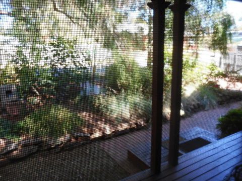 Rosebank Bed & Breakfast - Kalgoorlie Accommodation 6