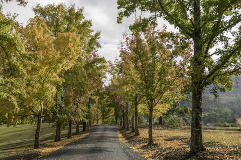 Clarendon Forest Retreat - Kalgoorlie Accommodation 1