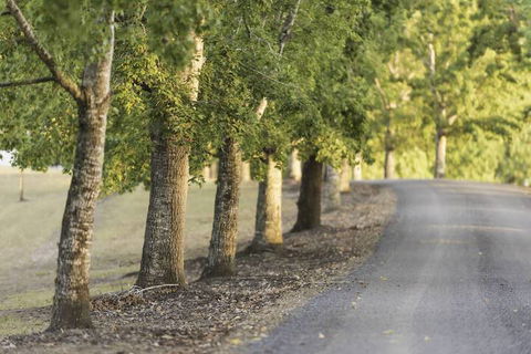 Clarendon Forest Retreat - Kalgoorlie Accommodation 3