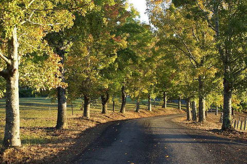 Clarendon Forest Retreat - Kalgoorlie Accommodation 2