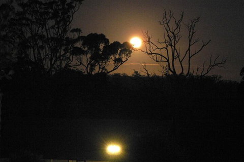 Scarlet Woods Chalets - Kalgoorlie Accommodation 2